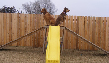 outdoor playground