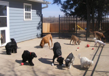 outdoor playground